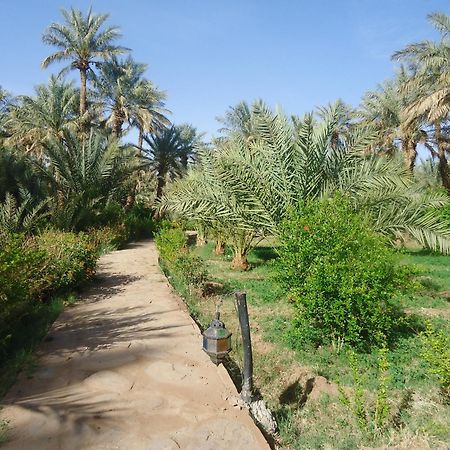 Riad Tagmadarte Ferme D'Hote 자고라 외부 사진