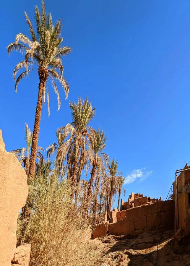 Riad Tagmadarte Ferme D'Hote 자고라 외부 사진