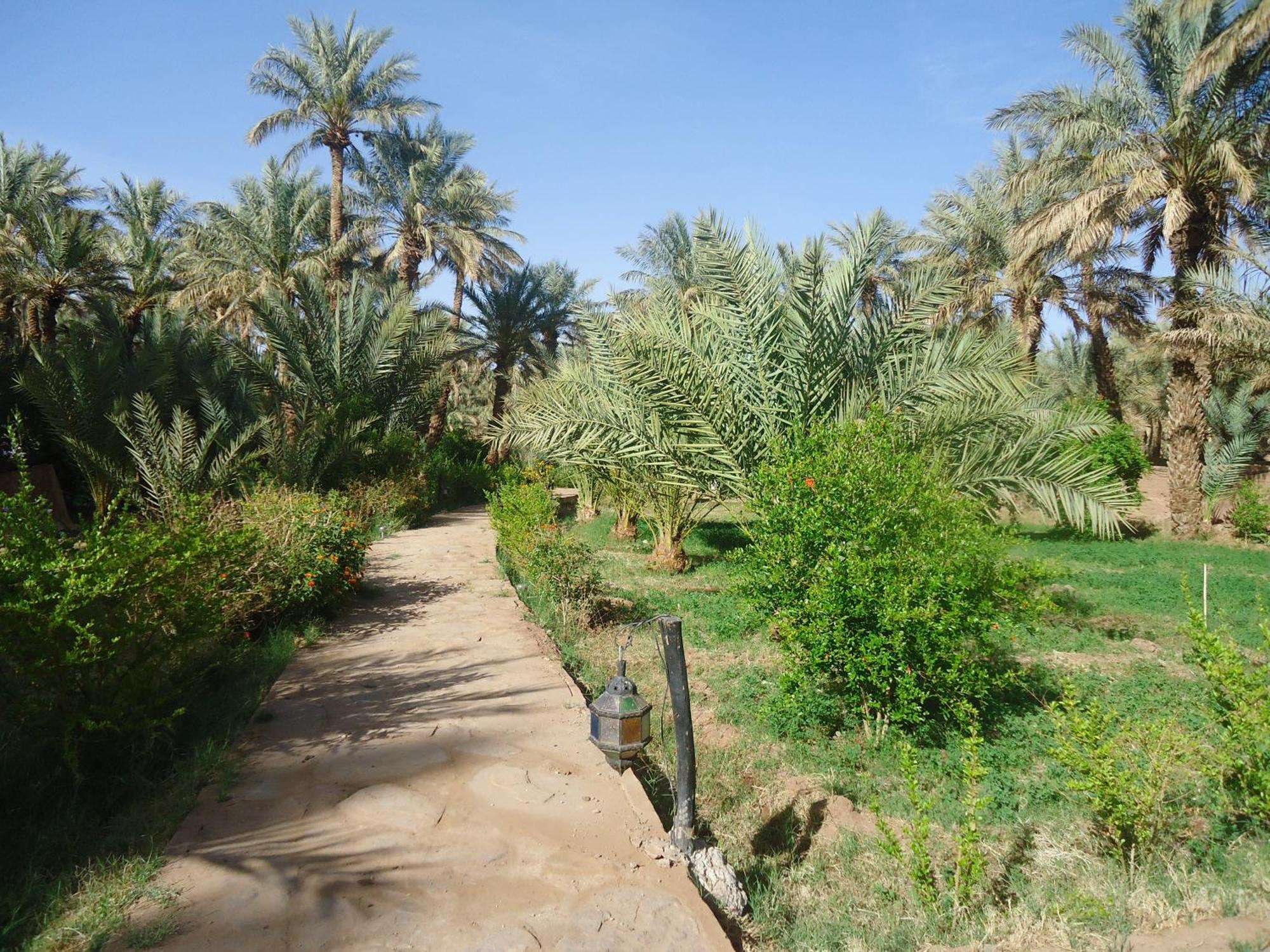 Riad Tagmadarte Ferme D'Hote 자고라 외부 사진