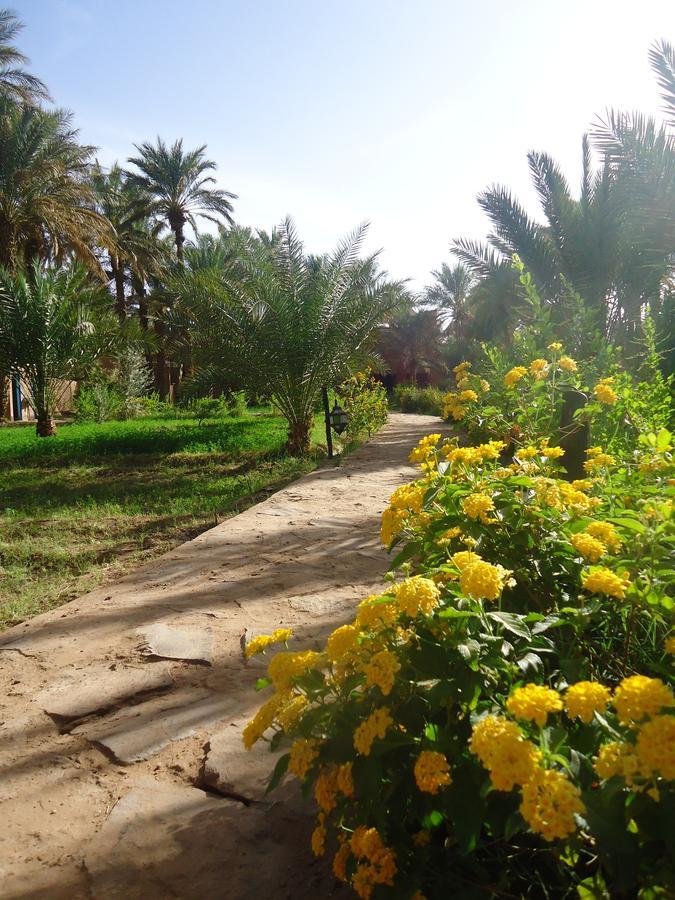 Riad Tagmadarte Ferme D'Hote 자고라 외부 사진