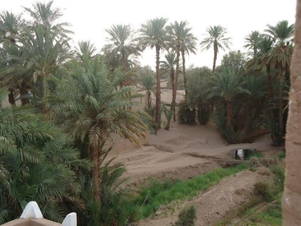 Riad Tagmadarte Ferme D'Hote 자고라 외부 사진